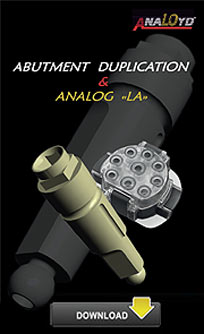 BROSHURAnalog english